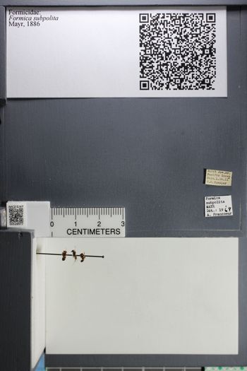 Media type: image; Entomology 528977